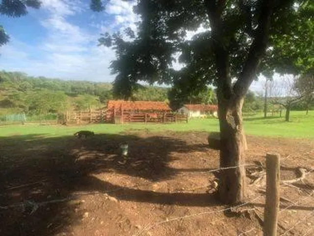 Imagem 13: Excelente Fazenda em Funilândia/MG 112 hectares de terra