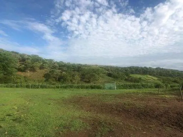Imagem 4: Excelente Fazenda em Funilândia/MG 112 hectares de terra