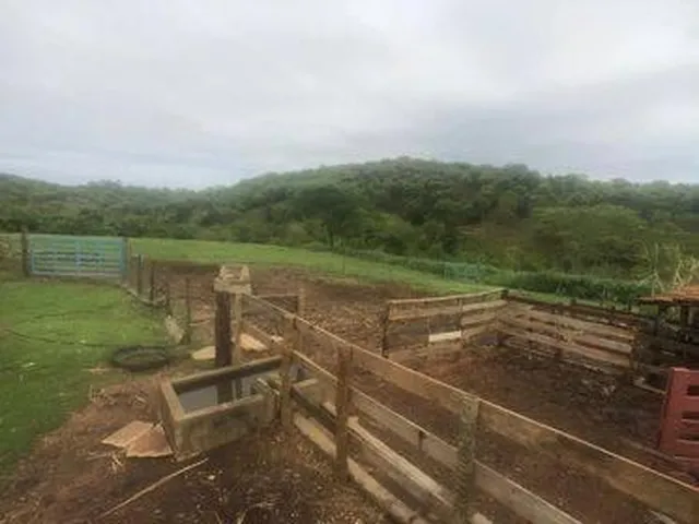 Imagem 8: Excelente Fazenda em Funilândia/MG 112 hectares de terra