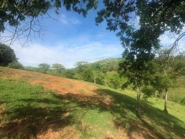 Imagem 9: Excelente Fazenda em Funilândia/MG 112 hectares de terra