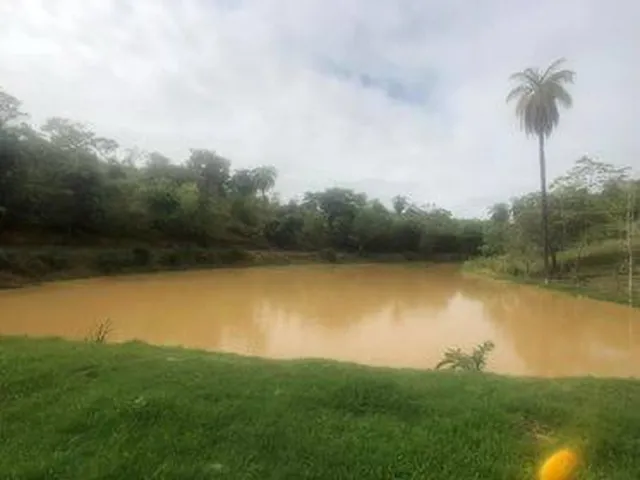 Imagem 10: Excelente Fazenda em Funilândia/MG 112 hectares de terra