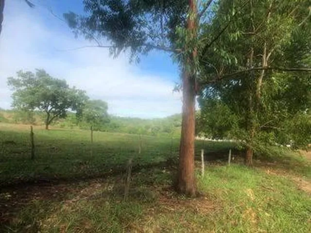 Imagem 11: Excelente Fazenda em Funilândia/MG 112 hectares de terra