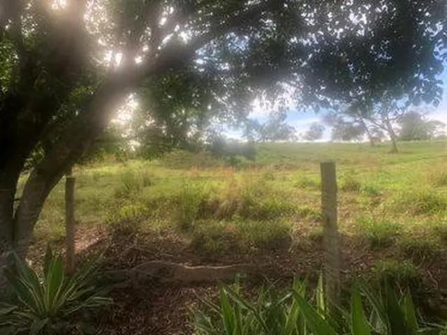Imagem 14: Excelente Fazenda em Funilândia/MG 112 hectares de terra