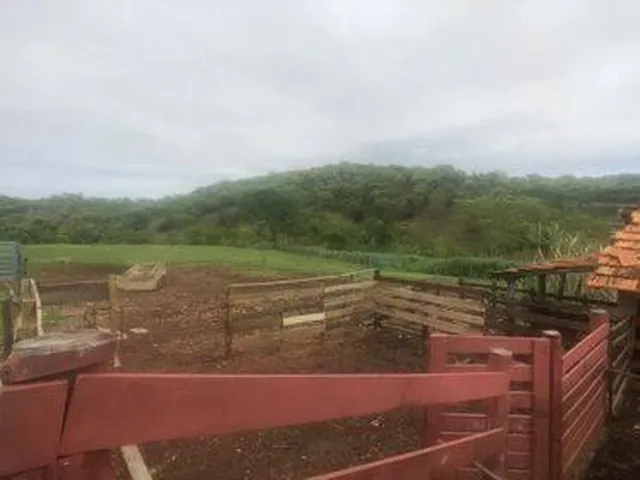 Imagem 15: Excelente Fazenda em Funilândia/MG 112 hectares de terra