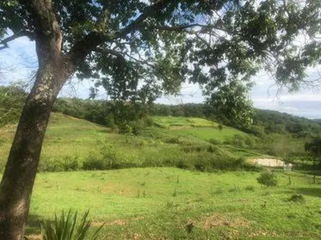 Imagem 16: Excelente Fazenda em Funilândia/MG 112 hectares de terra