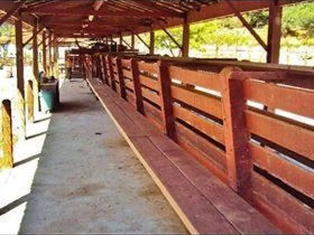 Imagem 14: Fazenda Exclusiva em Brumadinho 500 hectares