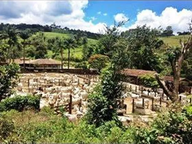 Imagem 11: Fazenda Exclusiva em Brumadinho 500 hectares