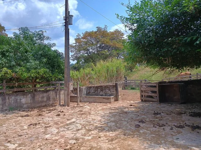 Imagem 10: Sítio à venda em Itaguara/MG ,com 50.000 m² de terra