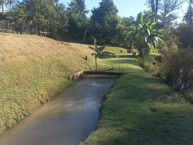 Imagem 3: Excelente Chácara à Venda em Igarapé/MG 2.000 m² de área total