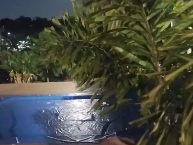 Imagem 6: Excelente Chácara à Venda em Igarapé/MG 2.000 m² de área total