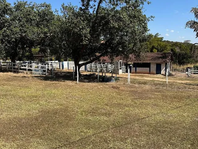 Imagem 10: Excelente propriedade rural à venda em Divinópolis/MG com 16 HECTARES de terra