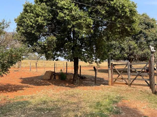 Imagem 14: Excelente Terreno À Venda em Jaboticatubas/Mg: 17 Hectares Próximo À Serra do Cipó