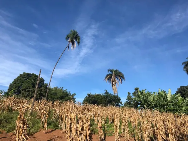 Imagem 15: Excelente Terreno À Venda em Jaboticatubas/Mg: 17 Hectares Próximo À Serra do Cipó