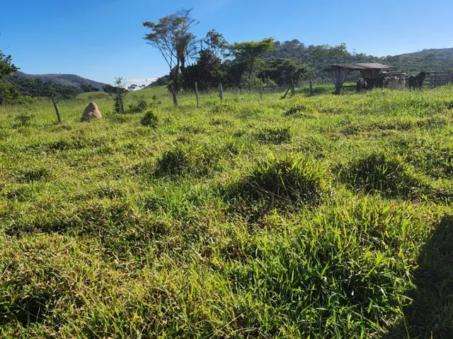 Imagem: Vende-Se Excelente Terreno em Bonfim/Mg