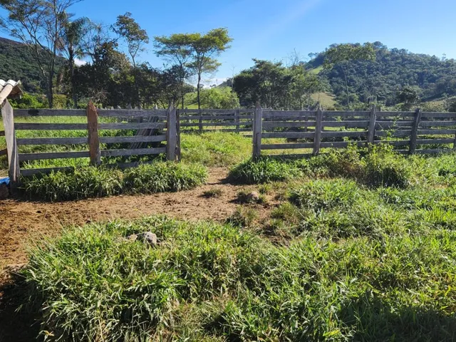 Imagem 14: Vende-Se Excelente Terreno em Bonfim/Mg com Área Total de 23 Hectares, Toda Formada