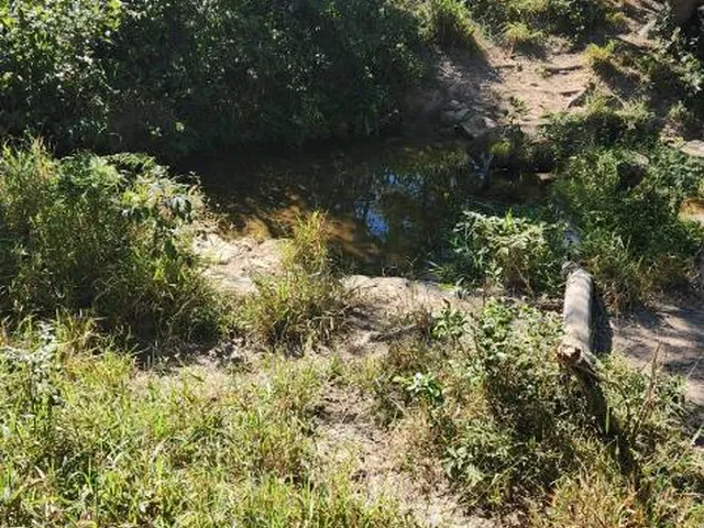 Imagem 2: Vende-Se Excelente Terreno em Bonfim/Mg com Área Total de 23 Hectares, Toda Formada