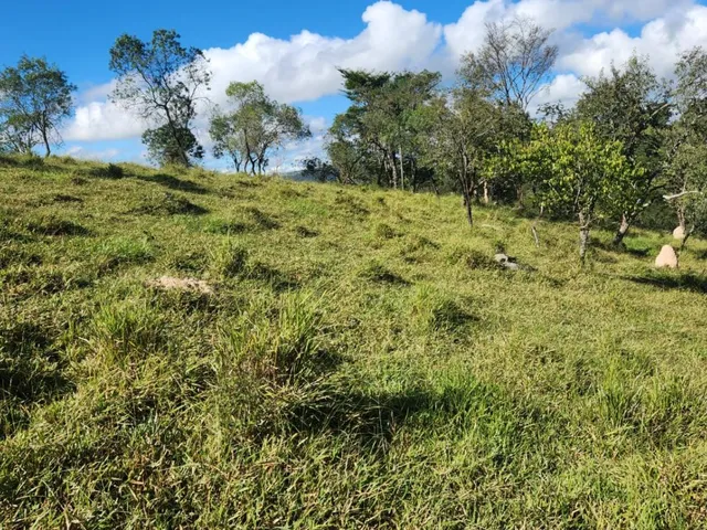 Imagem 3: Vende-Se Excelente Terreno em Bonfim/Mg com Área Total de 23 Hectares, Toda Formada