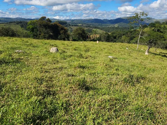 Imagem 4: Vende-Se Excelente Terreno em Bonfim/Mg com Área Total de 23 Hectares, Toda Formada