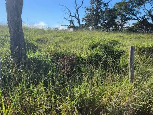 Imagem 10: Vende-Se Excelente Terreno em Bonfim/Mg com Área Total de 23 Hectares, Toda Formada