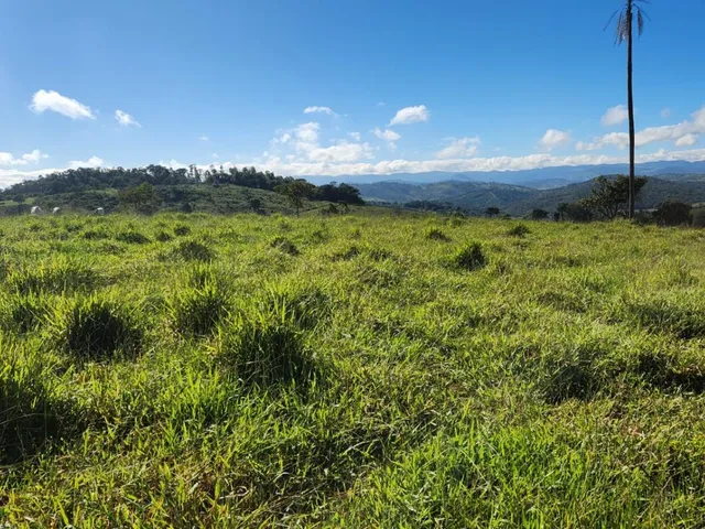 Imagem 11: Vende-Se Excelente Terreno em Bonfim/Mg com Área Total de 23 Hectares, Toda Formada