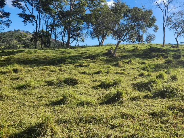 Imagem 13: Vende-Se Excelente Terreno em Bonfim/Mg com Área Total de 23 Hectares, Toda Formada