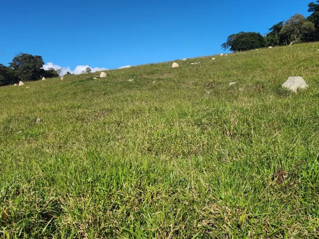 Imagem 16: Vende-Se Excelente Terreno em Bonfim/Mg com Área Total de 23 Hectares, Toda Formada