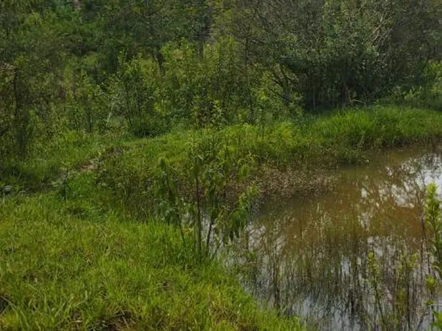 Imagem 3: Terreno à venda em Betim/MG com 25.000 m² valor R$ 650.000,00
