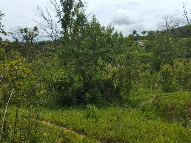 Imagem 4: Terreno à venda em Betim/MG com 25.000 m² valor R$ 650.000,00