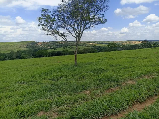 Imagem 10: Terreno a venda de 24,3 hectares às margens do Rio Picão