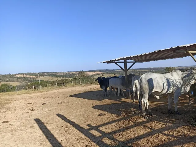 Imagem 9: Terreno a venda de 24,3 hectares às margens do Rio Picão