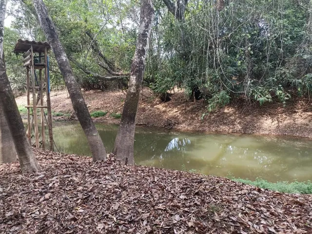 Imagem 4: Terreno a venda de 24,3 hectares às margens do Rio Picão