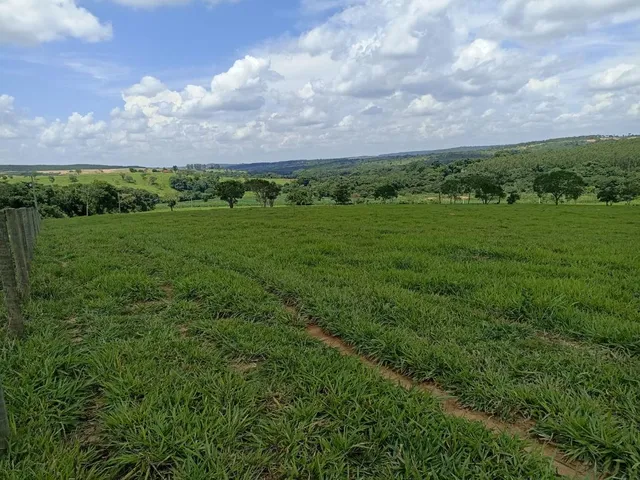 Imagem 5: Terreno a venda de 24,3 hectares às margens do Rio Picão