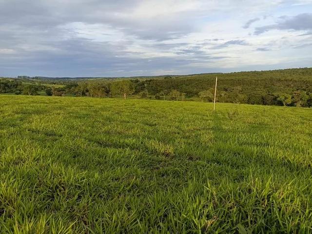 Imagem 6: Terreno a venda de 24,3 hectares às margens do Rio Picão