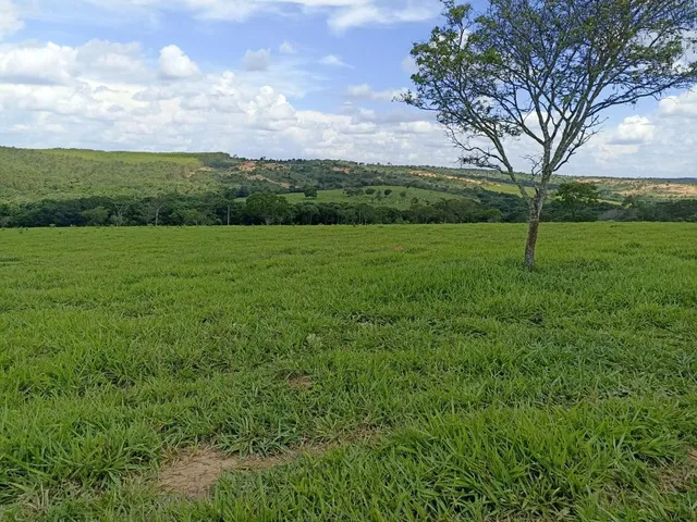 Imagem 13: Terreno a venda de 24,3 hectares às margens do Rio Picão