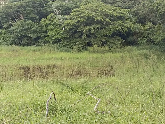 Imagem 15: Terreno a venda de 24,3 hectares às margens do Rio Picão