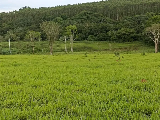 Imagem 16: Terreno a venda de 24,3 hectares às margens do Rio Picão