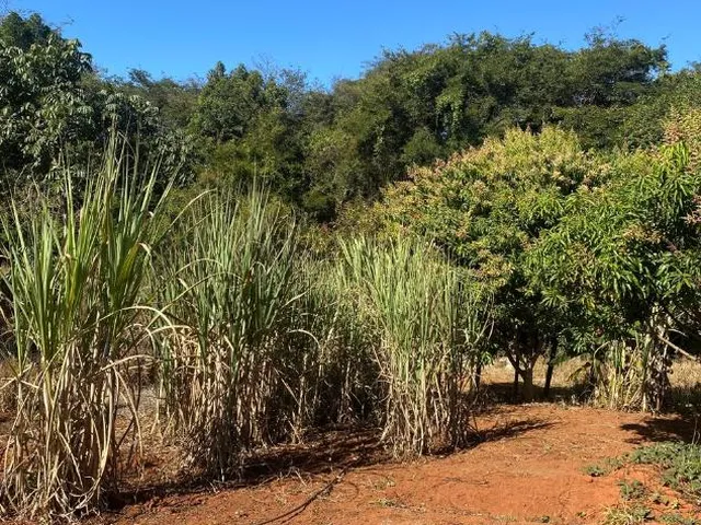 Imagem 6: Oportunidade em Lagoa Santa/MG: Terreno a venda de 13,1 Hectares