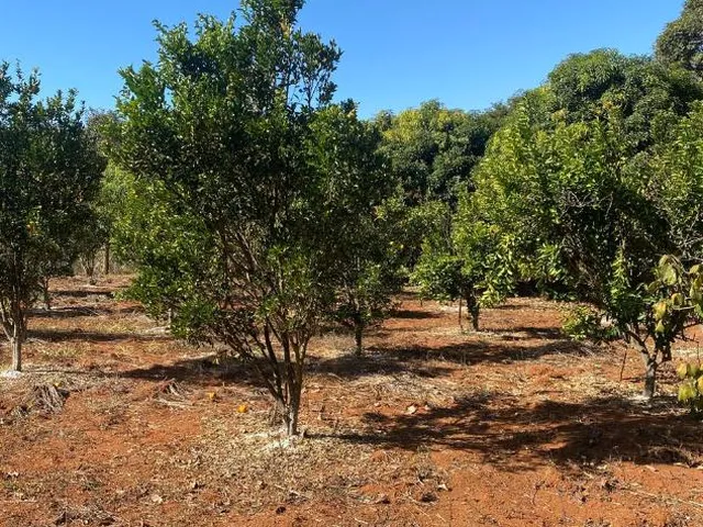 Imagem 3: Oportunidade em Lagoa Santa/MG: Terreno a venda de 13,1 Hectares