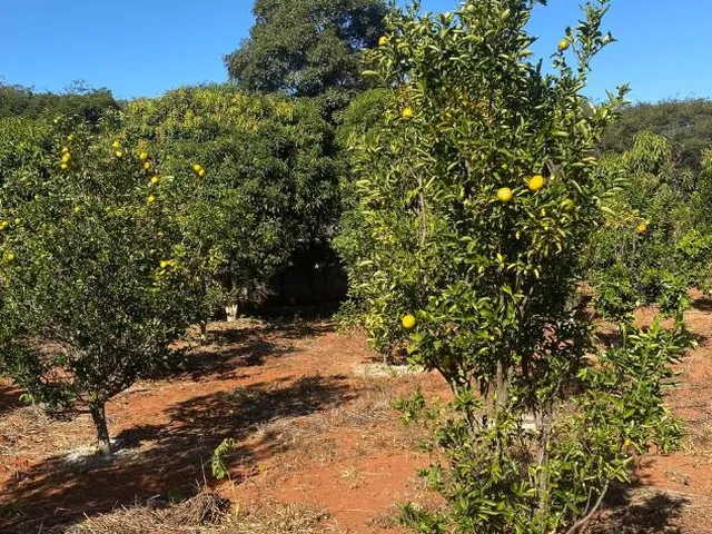 Imagem 7: Oportunidade em Lagoa Santa/MG: Terreno a venda de 13,1 Hectares