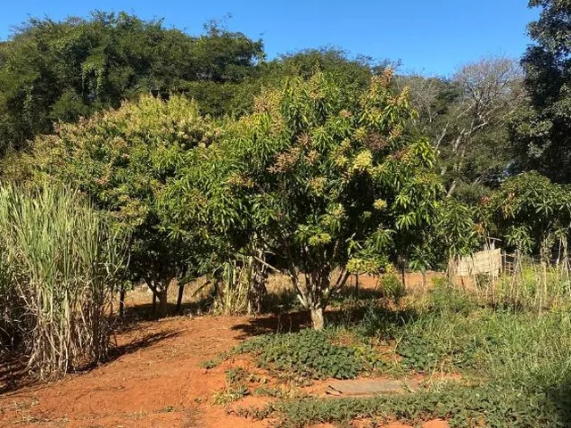 Imagem 8: Oportunidade em Lagoa Santa/MG: Terreno a venda de 13,1 Hectares