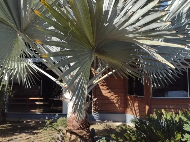 Imagem: Casa à Venda em Lagoa Santa/MG Condomínio