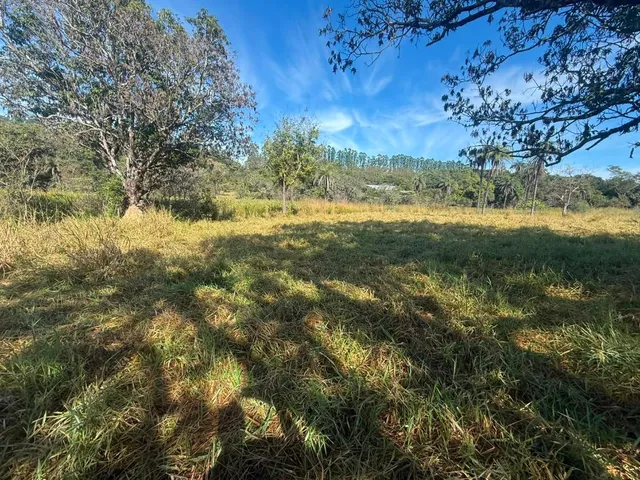 Imagem 2: FAZENDA À VENDA EM CARMÓPOLIS DE MINAS /Área total: 315 hectares