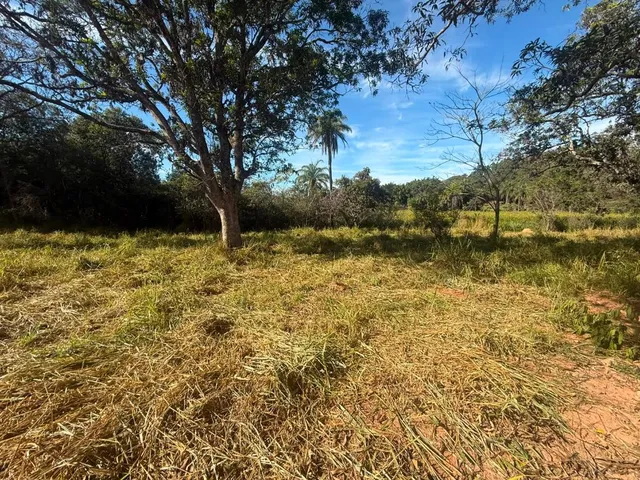 Imagem 3: FAZENDA À VENDA EM CARMÓPOLIS DE MINAS /Área total: 315 hectares