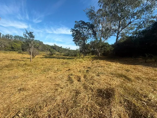 Imagem 4: FAZENDA À VENDA EM CARMÓPOLIS DE MINAS /Área total: 315 hectares