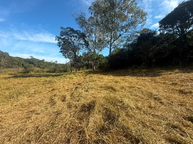 Imagem 5: FAZENDA À VENDA EM CARMÓPOLIS DE MINAS /Área total: 315 hectares