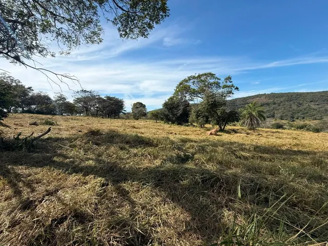 Imagem 6: FAZENDA À VENDA EM CARMÓPOLIS DE MINAS /Área total: 315 hectares