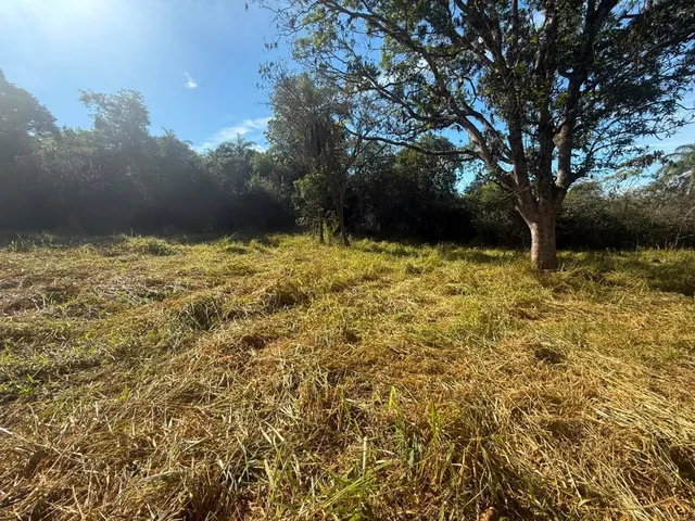 Imagem 7: FAZENDA À VENDA EM CARMÓPOLIS DE MINAS /Área total: 315 hectares