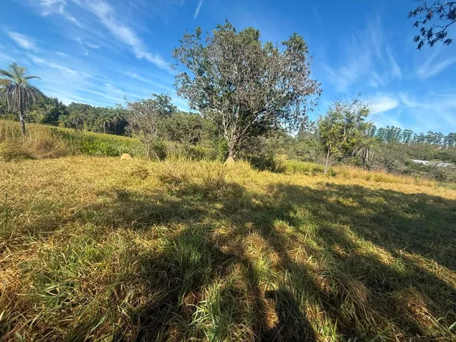 Imagem 8: FAZENDA À VENDA EM CARMÓPOLIS DE MINAS /Área total: 315 hectares