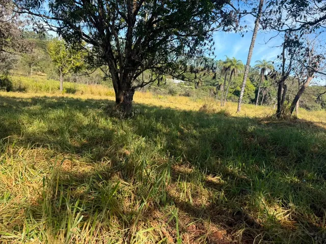 Imagem 9: FAZENDA À VENDA EM CARMÓPOLIS DE MINAS /Área total: 315 hectares