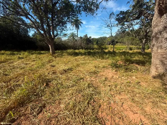Imagem 11: FAZENDA À VENDA EM CARMÓPOLIS DE MINAS /Área total: 315 hectares